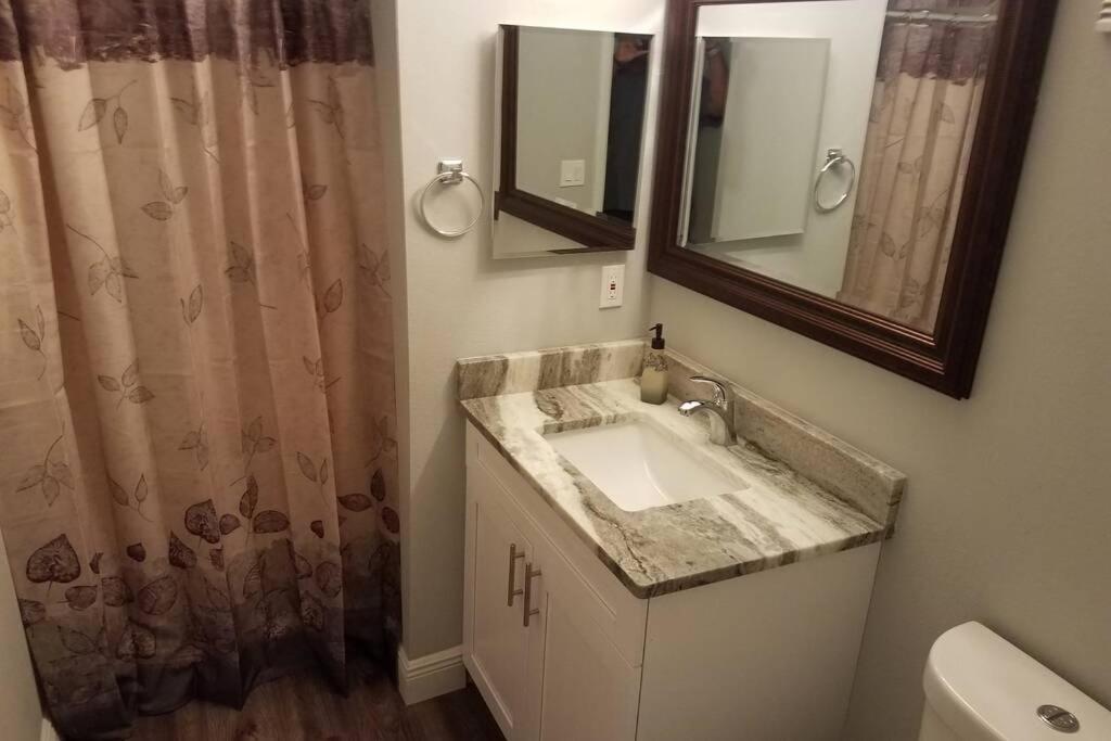 Cozy 3 Bed 2.5 Bath Located Near Busch Gardens Apartament Tampa Zewnętrze zdjęcie