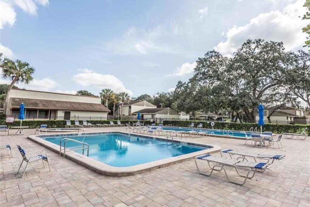 Cozy 3 Bed 2.5 Bath Located Near Busch Gardens Apartament Tampa Zewnętrze zdjęcie
