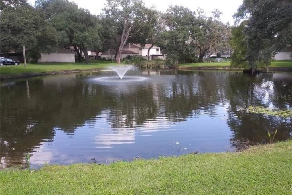 Cozy 3 Bed 2.5 Bath Located Near Busch Gardens Apartament Tampa Zewnętrze zdjęcie