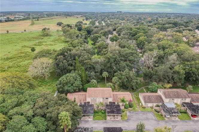 Cozy 3 Bed 2.5 Bath Located Near Busch Gardens Apartament Tampa Zewnętrze zdjęcie